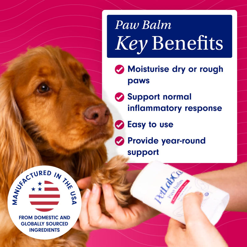 PetLab Co – Paw & Probiotic Bundle: Dog Paw Balm to Support Dry, Cracked Paws 2.4 Ounces & Dog Probiotics for Gut Health, Seasonal Allergies, Skin & Ear Yeast 30 Count - BeesActive Australia
