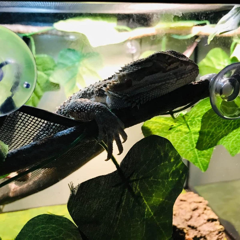 2 Pcs Bearded Dragon Lizard Hammock, Geckos Hammock, Breathable Mesh Reptile Hammock, Suitable for Iguanas, Anoles, Geckos, Snakes, Chameleon - BeesActive Australia