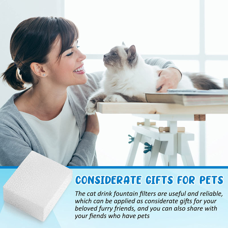 12 Pieces Pet Replacement Sponge Filters Replacement Pre Filter Sponges for 67oz/ 2L Pet Water Fountain Cat Water Foam Filter Dog Drinking Water Sponge Foam Filters for Pet Dog Cat Fountain - BeesActive Australia
