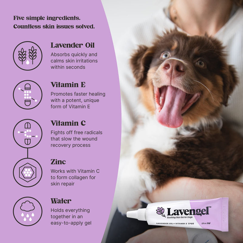 Lavengel Dog Skin Care Gel - Highly Concentrated Antimicrobial Ointment Relieves Itchy Skin and Heals Wounds Naturally, First-Aid for Skin Irritations, Hotspots, Sores, and Acne, We Support Rescues - BeesActive Australia