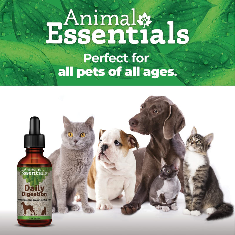 Animal Essentials Fresh Breath & Daily Digestion/Digestive Support for Dogs & Cats - Made in USA Organic Ginger & Mint, Alcohol Free 1 fl oz (30 ml) (Pack of 1) - BeesActive Australia