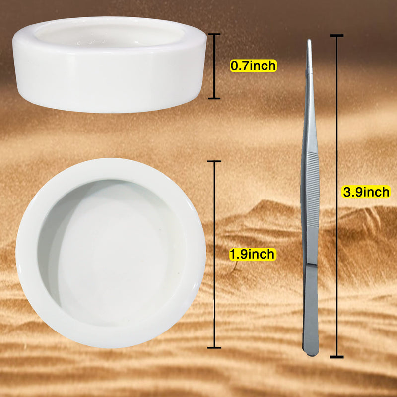 2Pcs Mini Reptile Food Dish Bowls Worm Water Dish Feeder Lizard Gecko Ceramic Pet Bowls with Tongs for Tortoise Lizard Bearded Dragon Frog Leopard Gecko Snake Chameleon(Small, 1.9 Inch) - BeesActive Australia