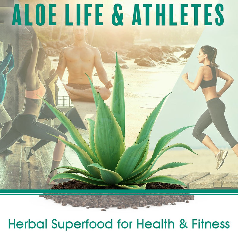 Aloe Life - Skin Gel and Herbs, 99 % Certified Organic, Whole Leaf Aloe Vera Plus Vitamin A, C, E and Herbs, Whole Leaf Aloe Vera is Concentrated to Give the Best Results (Unscented, 8 Ounces) 8 Ounce (Pack of 1) - BeesActive Australia