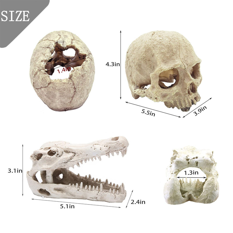 Tfwadmx Bearded Dragon Tank Accessories Reptiles Crocodile Skull Decorations Resin Human Skulls Hideouts Cave Habitat Lizard Plants Hanging Fake Vines Decor for Chameleon,Snake,Spider,Gecko and Fish - BeesActive Australia