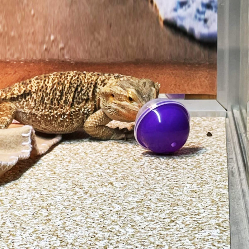CooShou Lizard Bearded Dragon Feeding Toys Ball Reptile Food Toys Ball Lizard Interactive Toys for Bearded Dragon, Lizard, Gecko and Small Animals 6Pcs - BeesActive Australia