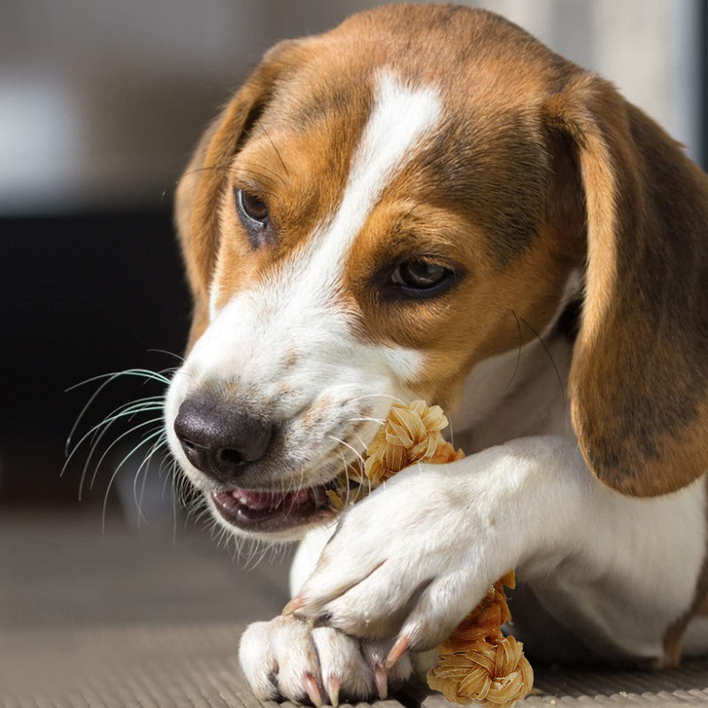 Jungle Calling Beef Tendons for Dogs, Duck/Chicken Wrapped Tendons Dog Chews Long Lasting Hip and Joint Supplement for Dogs with Glucosamine (Knotted Bone) Chicken - BeesActive Australia