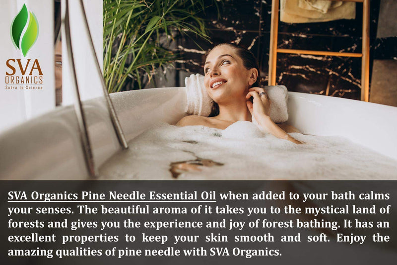 SVA ORGANICS Pine Needle Essential Oil Large Size 4 OZ (118 ML) Therapeutic Grade, 100% Pure Premium Grade Oil for Skin and Hair Care - BeesActive Australia