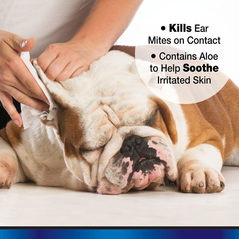 Aloe Ear Mite Treatment For Dogs - BeesActive Australia