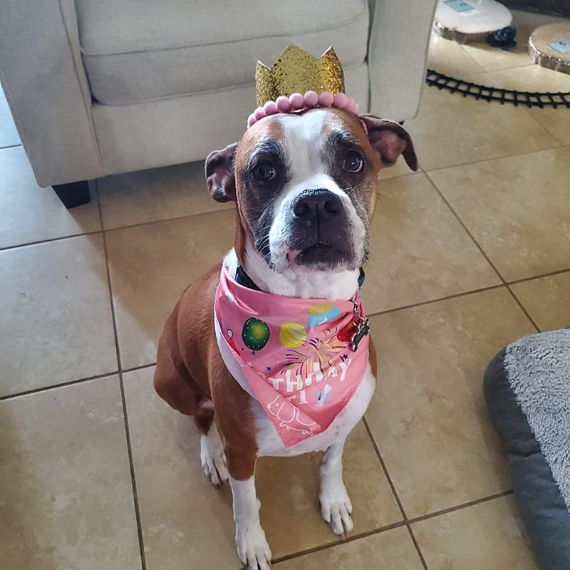 ADOGGYGO Dog Birthday Bandana Hat Set Dog Puppy Birthday Party Supply Dog Bandana Boy Girl Puppy Birthday Hat Scarf for Small Medium Dog Pet Pink - BeesActive Australia