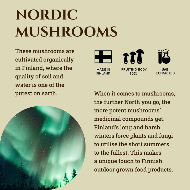 Ecodrop Organic Lions Mane Mushroom I 30ml I Double Extract Liquid Tincture Lions Mane Supplement I EU & Soil Association Certified I Manufactured in Finland Lion's Mane 30 ml (Pack of 1) - BeesActive Australia