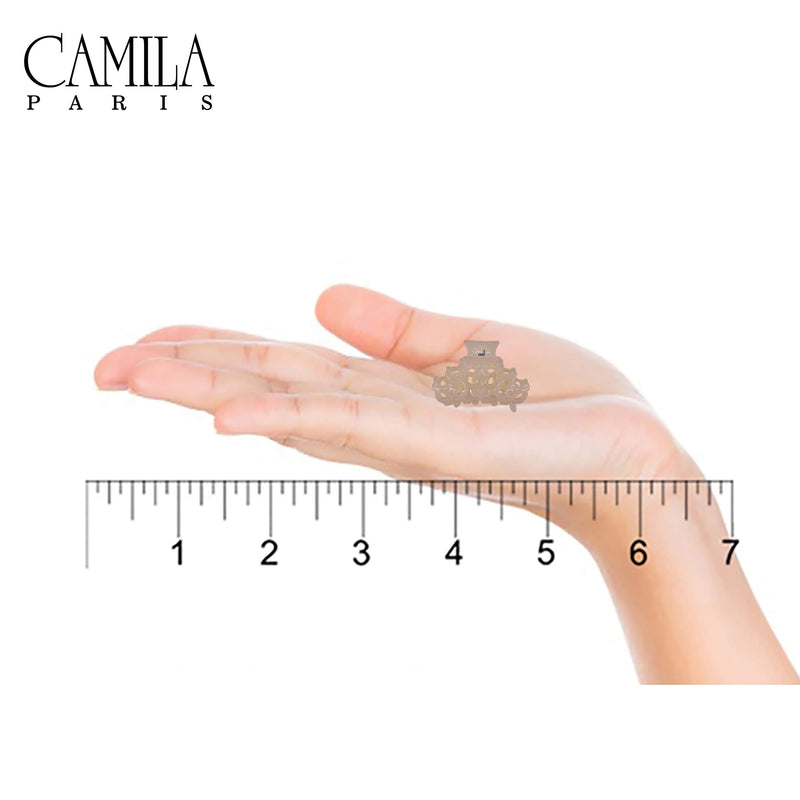 Camila Paris CP2401/2 Set of 2 French Hair Clip for Women, Small Amber, Antique, Girls Hair Claw Clips Jaw Fashion Durable and Styling Hair Accessories for Women, Made in France Amber 1" - BeesActive Australia