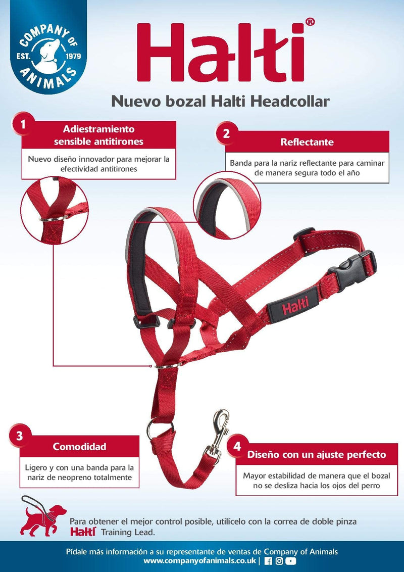 The Company of Animals Halti Head Colla Red 4 - BeesActive Australia