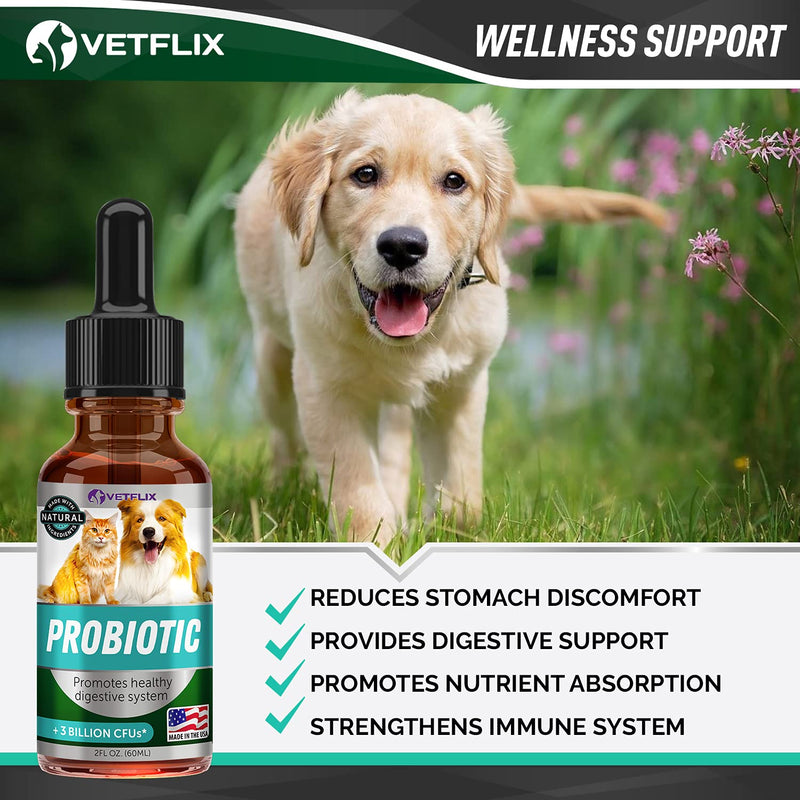Premium Probiotics for Dogs & Cats - Digestive Enzymes & Prebiotics Supplement - Helps to Relieve Diarrhea, Vomiting, Upset Stomach, Gas, Constipation & Bad Breath - Supports Healthy Digestive System - BeesActive Australia