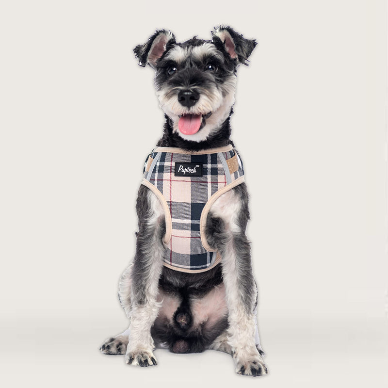 PUPTECK Small Dog Haness and Leash Collar Set Fully Adjustable Puppy Soft Mesh Harness No Pull Reflective Beige - BeesActive Australia