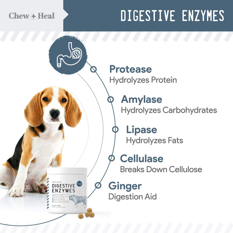 Chew + Heal Digestive Enzymes with Probiotics for Dogs - 120 Soft Chew Treats - Supports Healthy Digestive Tract, Helps Nutrient Absorption, Food Digestion, and Health Maintenance - Made in The USA - BeesActive Australia