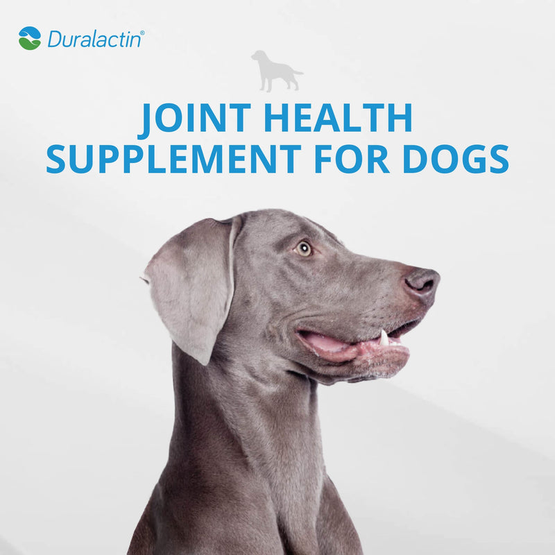 PRN Duralactin Canine Soft Chews - Joint Health Supplement for Dogs and Puppies to Help Reduce Inflammation - Chicken-Liver Flavored Canine Chews Containing Dried Milk Protein - 60-Count Bottle - BeesActive Australia