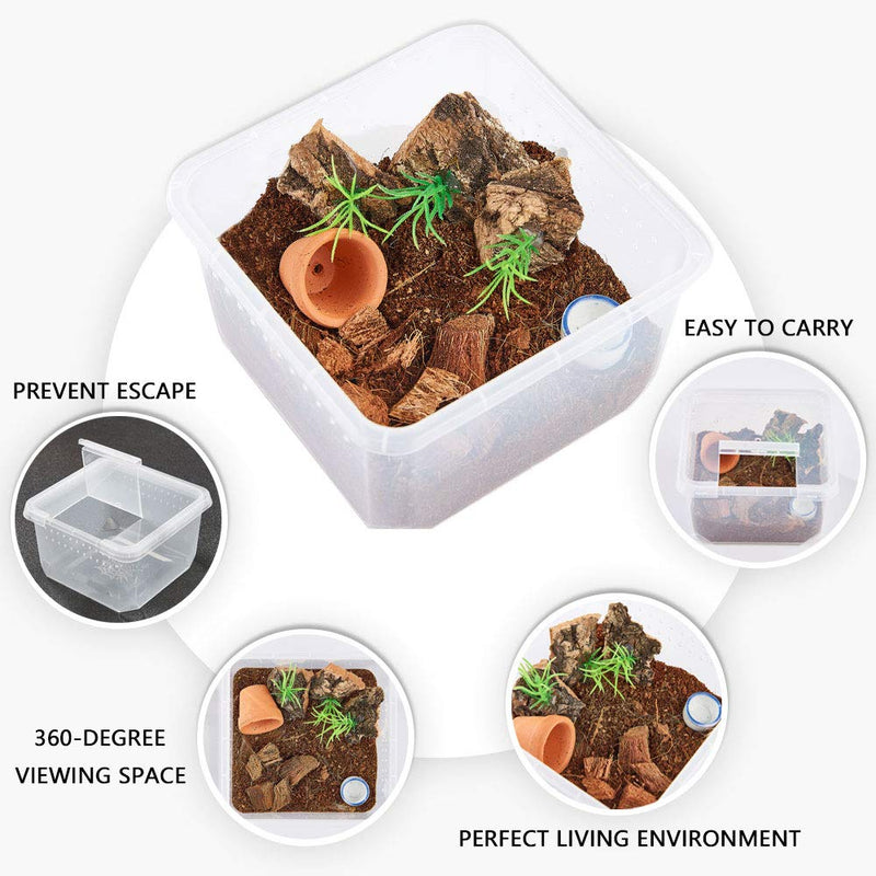 PETLAOO Critter Keeper，Mini Insect Carrier, Portable, Ventilated, Enough Viewing Space, with 5 Accessories, Suitable for Spiders, Geckos, Cockroaches, Snails, Hermit Crabs Flowerpot - BeesActive Australia