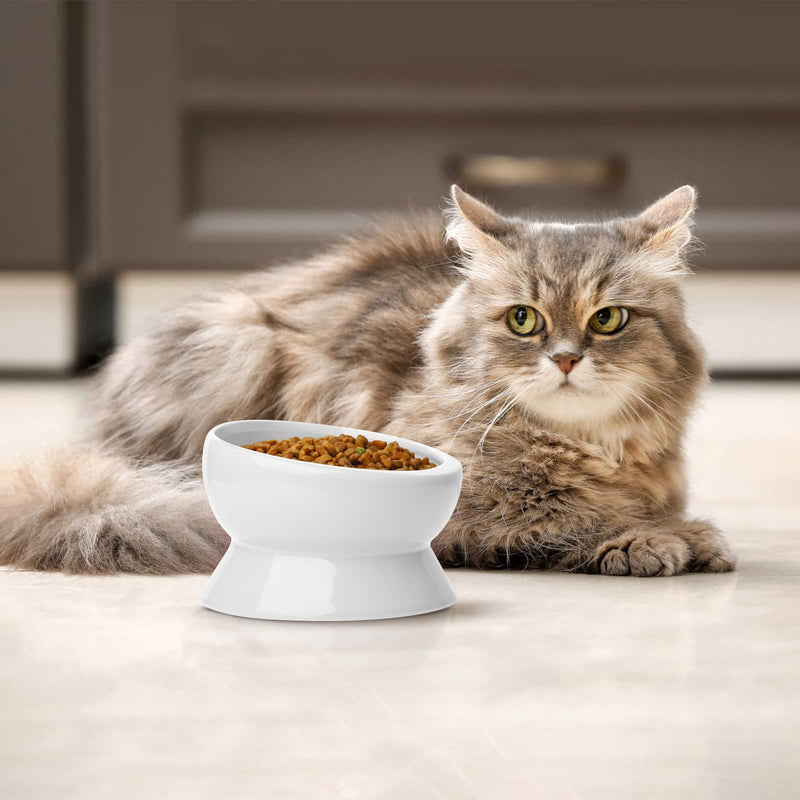 Nucookery Elevated Cat Food Water Bowl,Ceramic Raised Tilted Pet Feeder and Waterer Protect Pets' Spines,Small Dog Fat Faced Cat Kitten Supplies 5" Pure white - BeesActive Australia