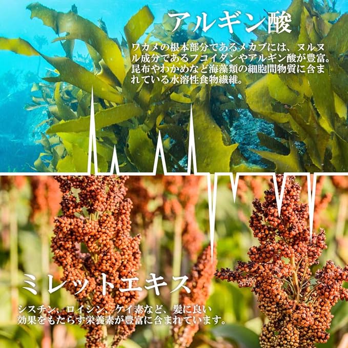 Hair Care Supplement AGA Volume Up Saw Palmetto L-Lysine Kelp Zinc GUNTO UP EX 90 tablets 30 days supply - BeesActive Australia
