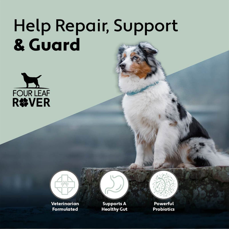 Four Leaf Rover: Gut Guard - Dog Probiotics, Prebiotics and Organic Herbs for Gut Health and Immune Support - Up to 60 Servings, Depending on Dog’s Weight - Vet Formulated - for All Breeds - BeesActive Australia