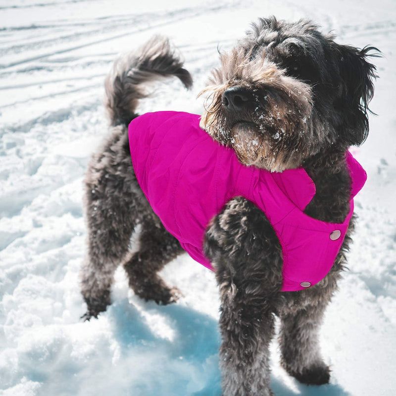 ASENKU Windproof Dog Winter Coat Waterproof Dog Jacket Warm Dog Vest Cold Weather Pet Apparel with 2 Layers Fleece Lined for Small Medium Large Dogs S: Chest 11.8-15", Length 10.6" Pink - BeesActive Australia