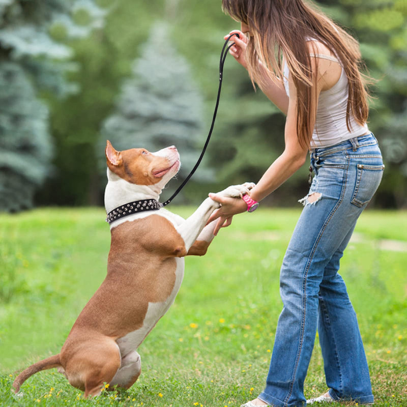 Spiked Studded Leather Dog Collar with Leash, Epesiri Rivet PU Leather Dog Collars for Pit Bull, Durable Leather Cat Collar with Spiked Studded for Small Medium Large Breed Best Gift Pet Rivet Collar Black L=13.7"-16" - BeesActive Australia