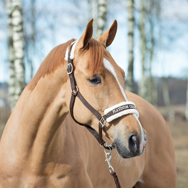 HORZE Howard Soft Fleece Padded Polyester Horse Halter - Easily Adjustable with Brushed Nickel Hardware Dark Brown - BeesActive Australia