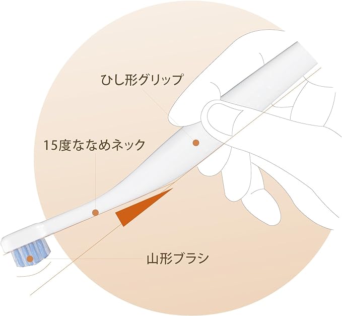 [Made in Japan]COMBI Teteo First Toothbrush 15° angle, from 1 tooth~ - BeesActive Australia