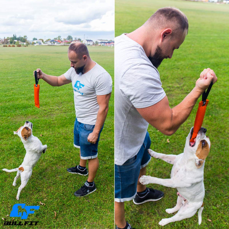 K9 Dog Bite Tug Toy - Made of Durable & Tear-Resistant French Linen - Perfect for Tug of War, Fetch & Puppy Training - Ideal for Medium to Large Dogs - Tough Pull Toy with Strong Handle & Stitching Pink Bite Tug with Blue Handle - BeesActive Australia