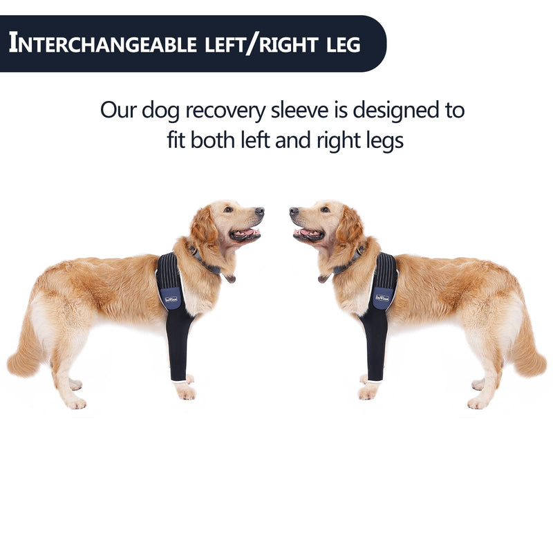 LufeLux Dog Rcovery Sleeve, Medical Dog Cone Alternative, Shoulder Protective Sleeve for Dogs with Strechy Adjustable Elastic Band, for Hot Spots, Wounds, Bandages, and Other Skin Conditions Large - BeesActive Australia