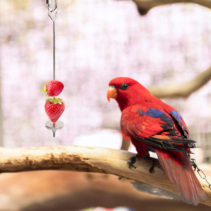 Bird Food Holder, Bird Feeder Toy, Bird Small Animal Fruit Vegetable Holder Stainless Steel Vegetable Skewer Foraging Hanging Food Feed Treating Tool for Parrots Cockatoo Cockatiel Basket - BeesActive Australia