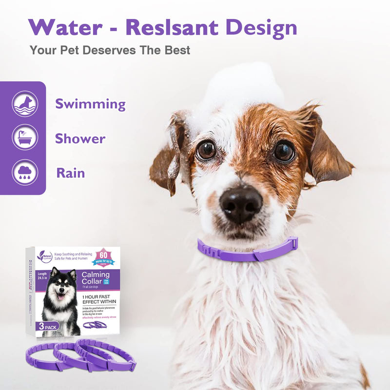 Dogs Calming Pheromones Collar 3 Packs Lasts 60 Days Relieve Reduce Anxiety or Stress 25 Inches Adjustable Relaxing Comfortable Collar Breakaway Design for All Small Medium and Large Dog Purple - BeesActive Australia
