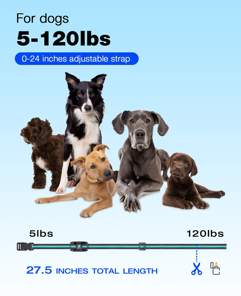 Bousnic Dog Shock Collar - 3300Ft Dog Training Collar with Remote for 5-120lbs Small Medium Large Dogs Rechargeable Waterproof e Collar with Beep (1-8), Vibration(1-16), Safe Shock(1-99) Modes (Blue) - BeesActive Australia