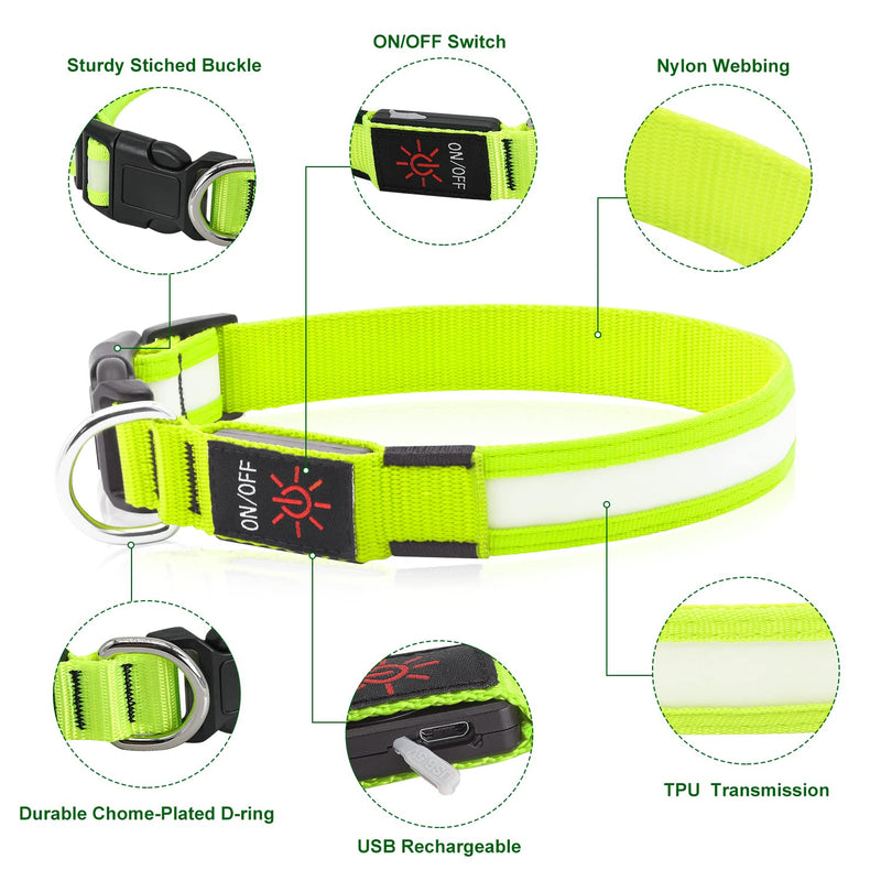 Light Up Dog Collars DQGHQME Led Dog Collar USB Rechargeable Safety Lighted Dog Collar for Small Medium Large Dogs，Flashing Lights for Dog Walking at Night Glow in The Dark Camping Dog Collars. Green-Pure - BeesActive Australia