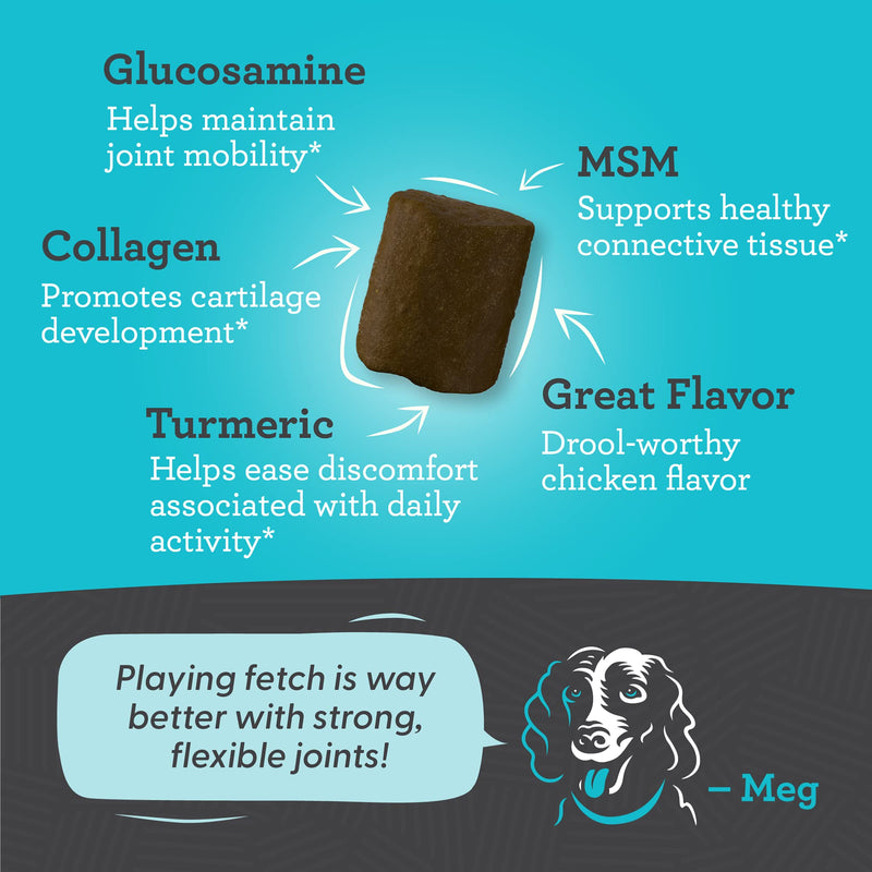 Meg & Hugo Hip & Joint Supplement for Dogs, 33% More 120 Soft Chews with Glucosamine, Chondroitin, Collagen, MSM, Turmeric, Hyaluronic Acid, Flaxseed, Vitamin C & E, Mobility Chews, Vet Recommended - BeesActive Australia