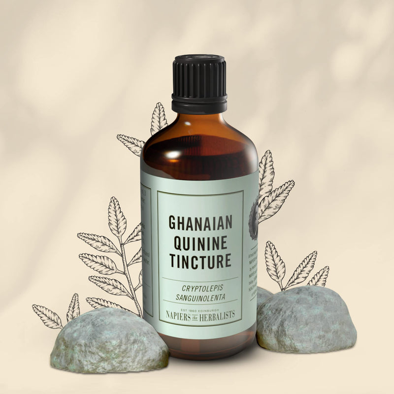 Napiers Ghanaian Quinine Tincture | Cryptolepis Root Tincture | Cryptolepis sanguinolenta - 250ML - BeesActive Australia