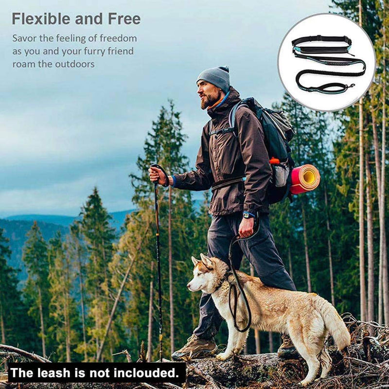 CamView Running Belt Fanny Pack No Bounce Waist Pack fits Large Phone Available for Hand Free Dog Leash Running with Puppy - BeesActive Australia