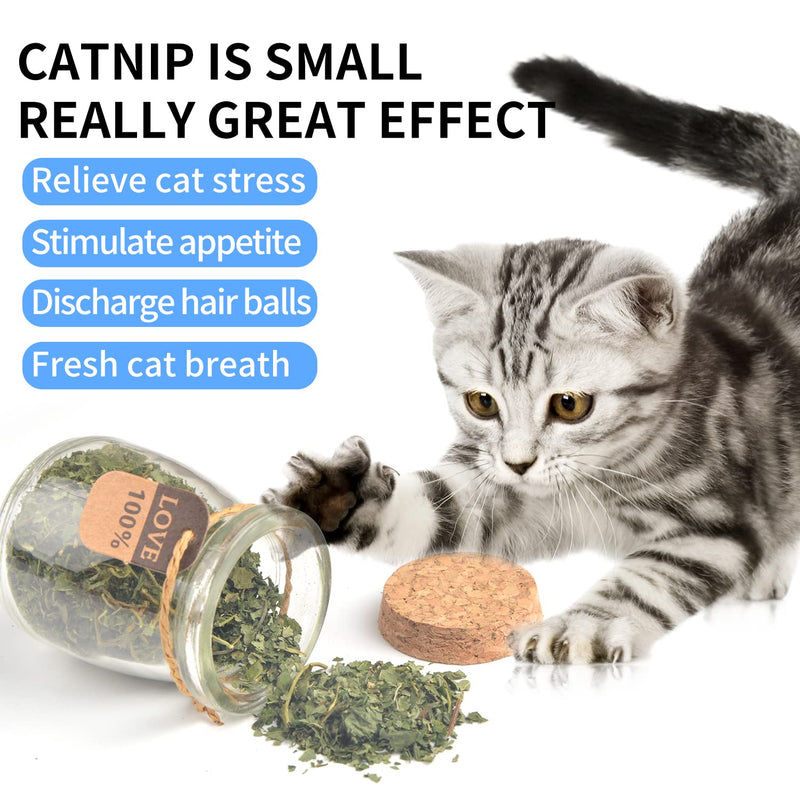 2 Pack Bottled Catnip Powder, Cat Edible Toys, Chewable Cat Toys, Clean Teeth Cat Treats Toys.Catnip Toy 2 pieces Cat toy - BeesActive Australia