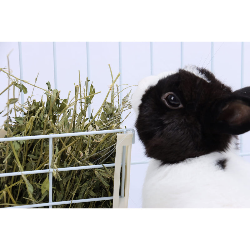 RUBYHOME Hay Feeder for Rabbits, Guinea Pigs, and Chinchillas - Minimize Waste and Mess with 9 1/4" x 3 3/4" x 8" Hanging Alfalfa and Timothy Hay Dispenser White - BeesActive Australia