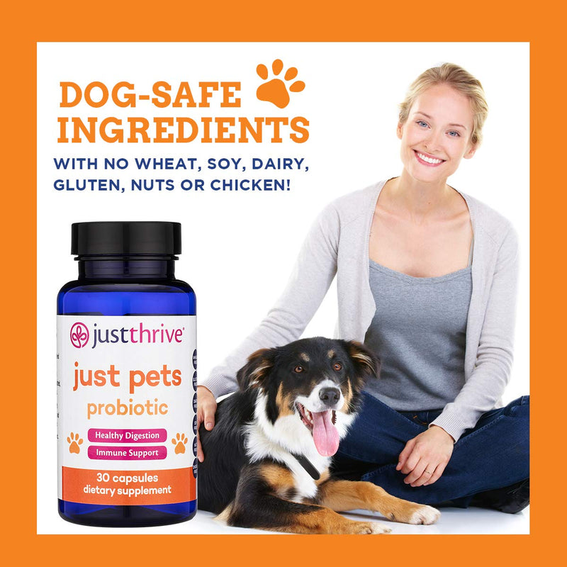 Just Thrive: Just Pets Probiotic - 30 Capsules, 8 oz - Daily Digestive Support for Dogs - Gut Health Supplement for Large and Small Breeds - No Wheat, Gluten, Soy, Dairy, Nuts or Chicken - BeesActive Australia