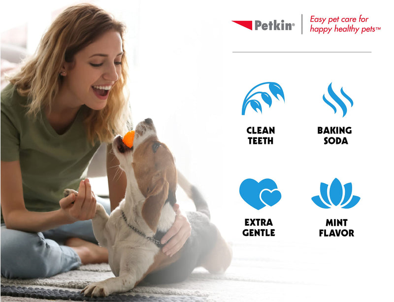 Petkin Plaque Toothwipes, Fresh Mint Wipes - Natural Formula Cleans Teeth, Gums & Freshens Breath - Convenient, & Easy to Use Oral Care Dental Pet Wipes for Dogs, Cats, Puppies & Kittens 2 Pack - 80 Wipes - BeesActive Australia