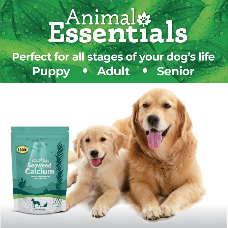 Animal Essentials Seaweed Calcium Supplement for Dogs & Cats, 12 oz - Iceland Seaweed Magnesium, Boron, Zinc - BeesActive Australia