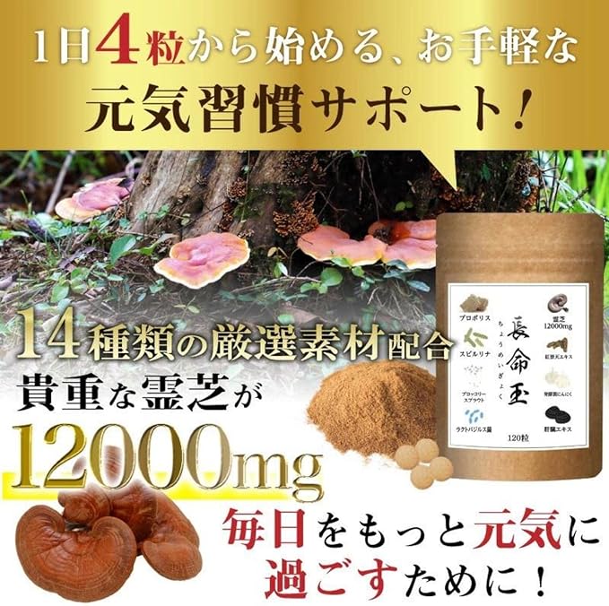 Chomeitama Healthy Energy Supplement Reishi 12000mg Natural Spirulina Propolis Oysters Cylinder Turmeric Garlic Spirulina Broccoli Sprout Supplement 120 tablets 30 days supply Additive-free Made in Japan - BeesActive Australia