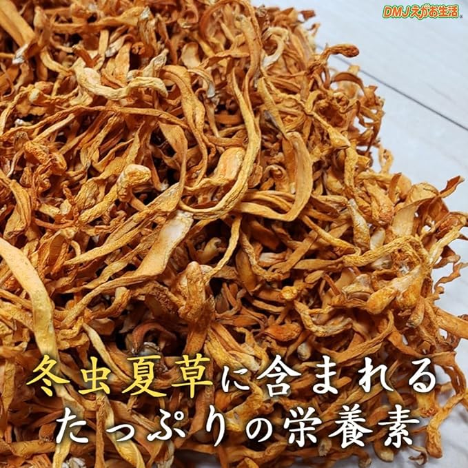 DMJ Egao Seikatsu Cordyceps sinensis dense soft 31 days supply 62 tablets Royal jelly Amino acid Cordyceps sinensis supplement Made in Japan - BeesActive Australia