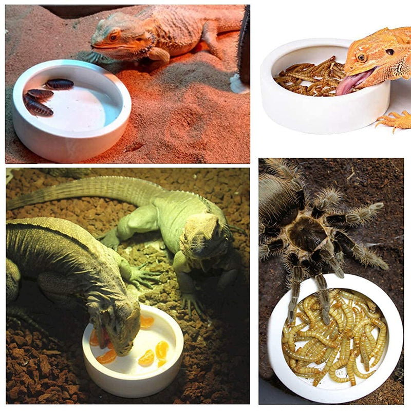 TDPET Ceramic Mini Reptile Worm Dish - Lizard Escape Proof Feeding Bowl Circular Large-1Pack Orange - BeesActive Australia