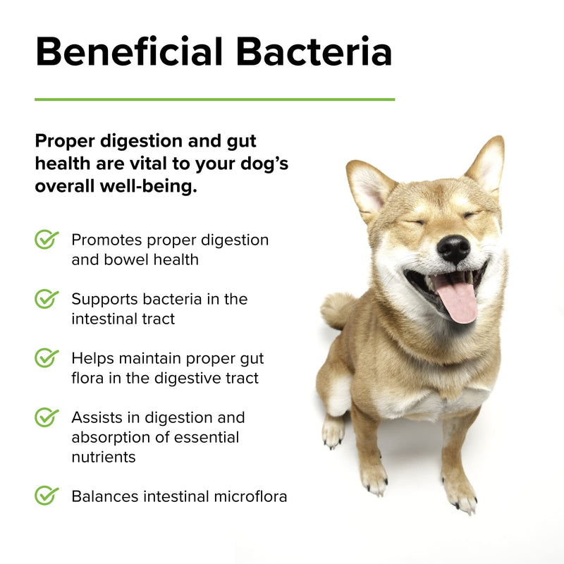 Terry Naturally Animal Health Probiotic Daily - 60 Chewable Tablets - Probiotics for Dogs, Beneficial Intestinal Bacteria to Maintain Healthy Gut Flora & Digestion - Canine Only - 60 Servings - BeesActive Australia