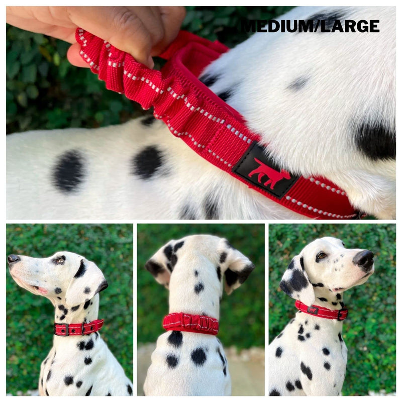 Tuff Pupper Heavy Duty Dog Collar with Handle | Ballistic Nylon Heavy Duty Collar | Padded Reflective Dog Collar with Adjustable Stainless Steel Hardware | Convenient Sizing for All Breeds Medium/Large (14 - 18" Neck) March Red - BeesActive Australia