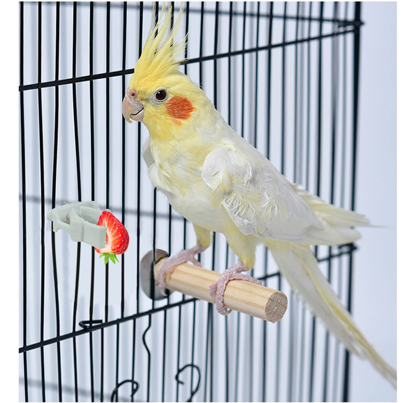WishLotus Bird Cage Feeding Clips, 4 PCS Plastic Durable Parrot Fruit Vegetable Clips Mini Bird Cage Feeder for Pet Birds and Parrot Feeding Bird Cage Accessories A - BeesActive Australia