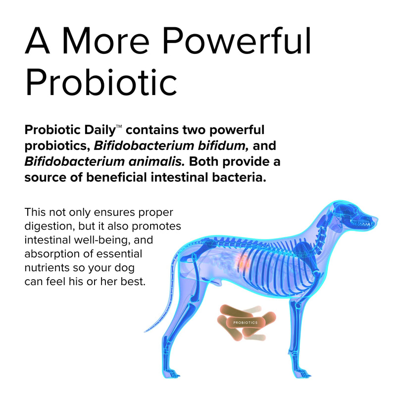 Terry Naturally Animal Health Probiotic Daily - 60 Chewable Tablets - Probiotics for Dogs, Beneficial Intestinal Bacteria to Maintain Healthy Gut Flora & Digestion - Canine Only - 60 Servings - BeesActive Australia