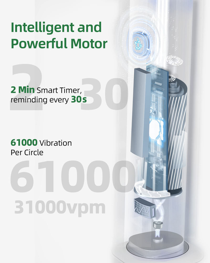 7am2m Sonic Electric Toothbrush with 6 Brush Heads for Adults and Kids, Wireless Fast Charge, One Charge for 60 Days,5 Modes with 2 Minutes Built in Smart Timer, Electric Toothbrushes(Green) No Travel Case Green - BeesActive Australia